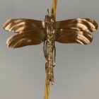 Art Nouveau Cranberry Glass Pendant Light with Dragon Fly (23050-4)