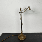 Faraday and Son Student Lamp